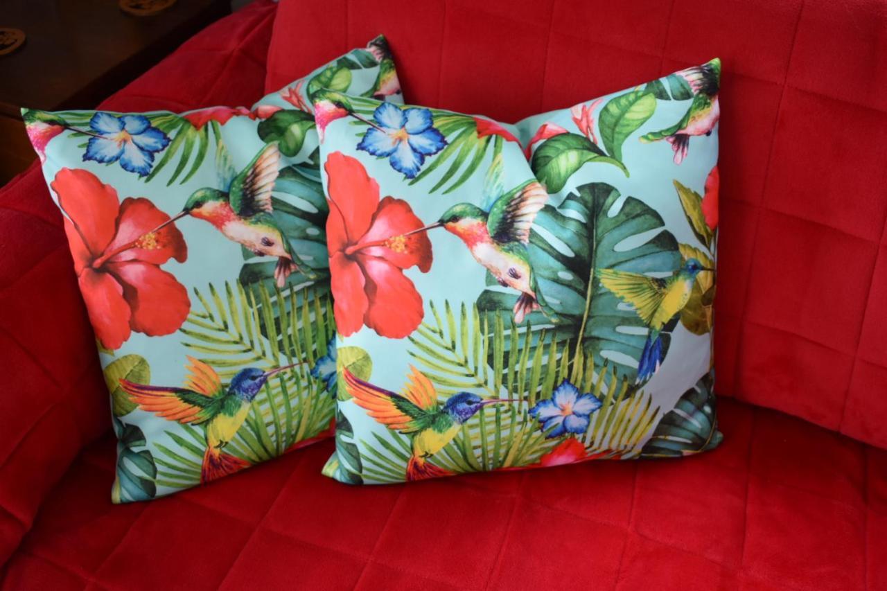 Hibiscus Bed & Breakfast Waihi Exterior photo